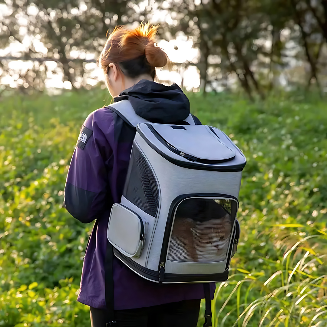 Komfortabler Katzenrucksack