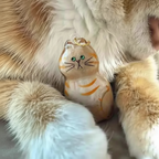 Katzenfell-Erinnerungsanhänger