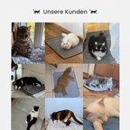 Miau-Kühlmatte