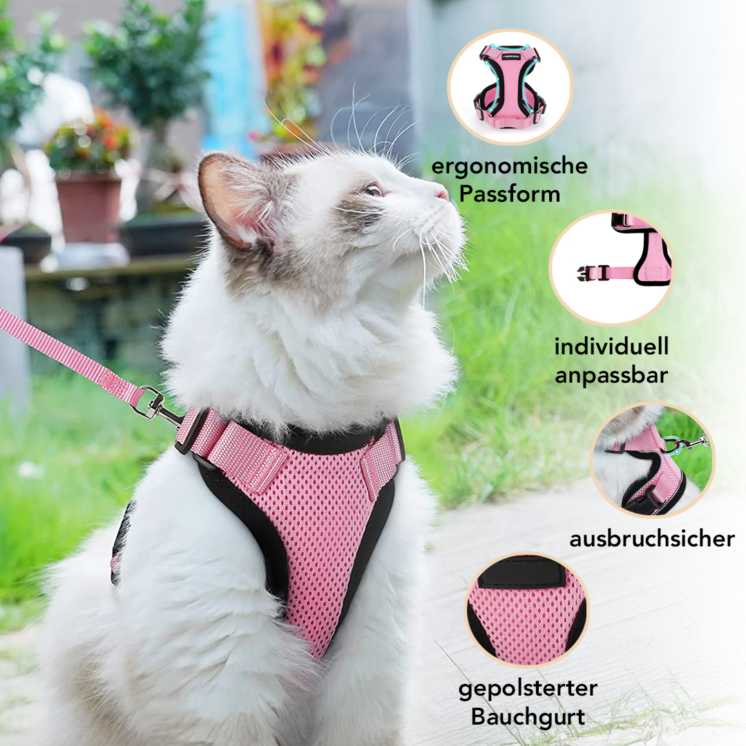 Ausbruchsicheres Geschirr