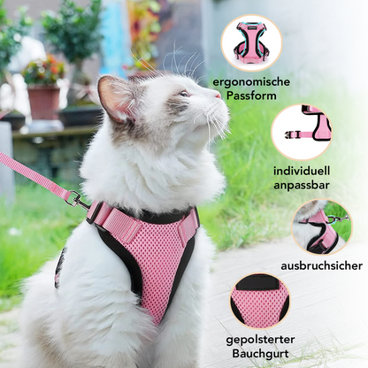 Ausbruchsicheres Geschirr