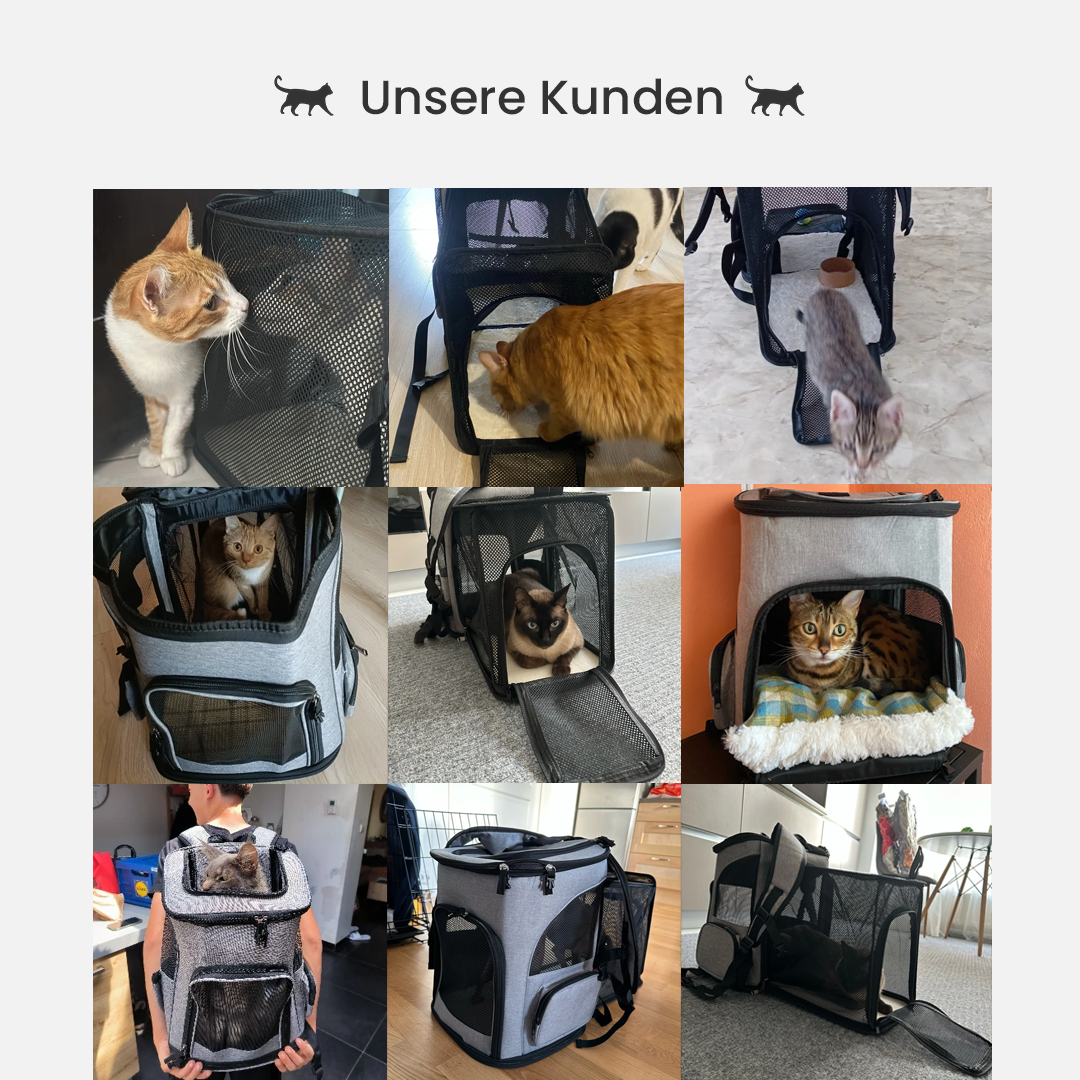 Komfortabler Katzenrucksack