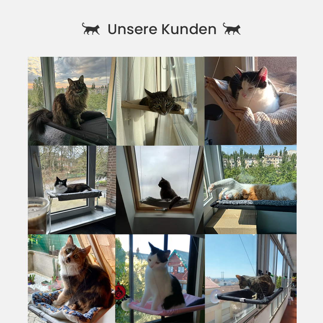 Gemütliche Katzenhängematte