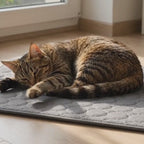 Miau-Kühlmatte